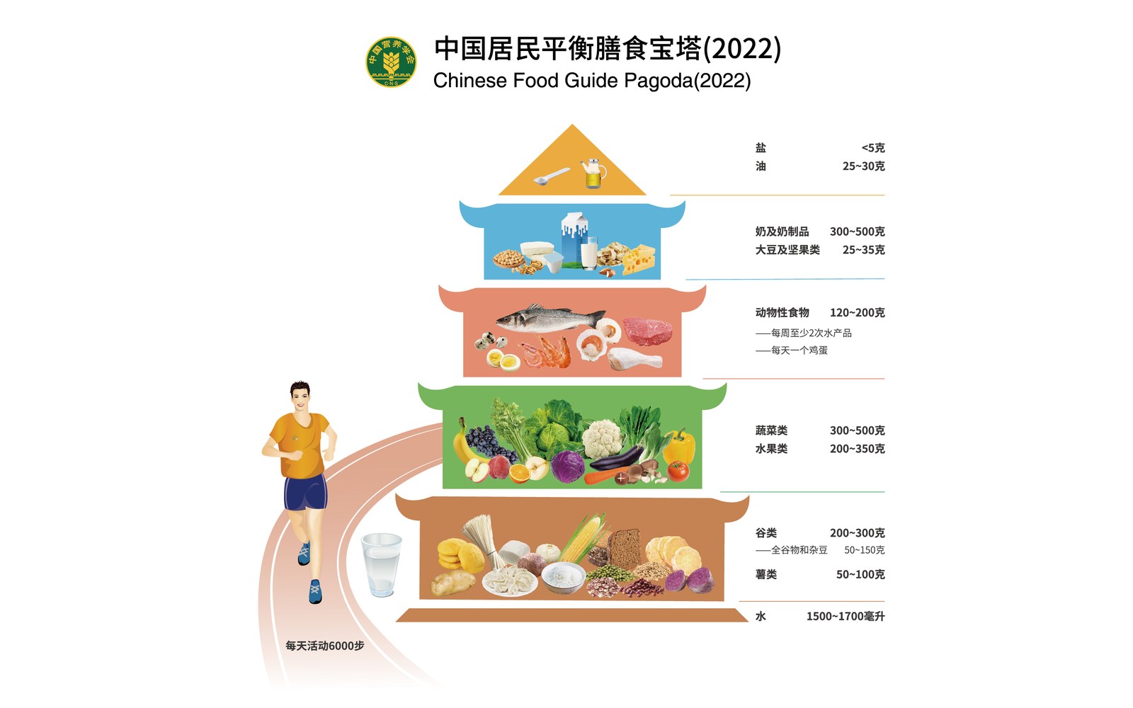中国居民平衡膳食宝塔（2022）官方图：盐<5克、油25~30克；奶及奶制品300~500克、大豆及坚果类25~35克；动物性食物120~200克；蔬菜类300~500克、水果类200~350克；谷类200~300克、薯类50~100克；水1500~1700毫升，每天活动6000步
